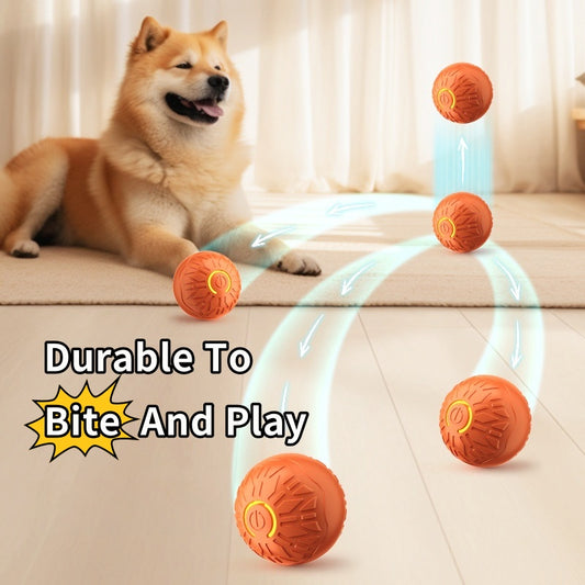 PlayPet™ Interactive Dog Ball