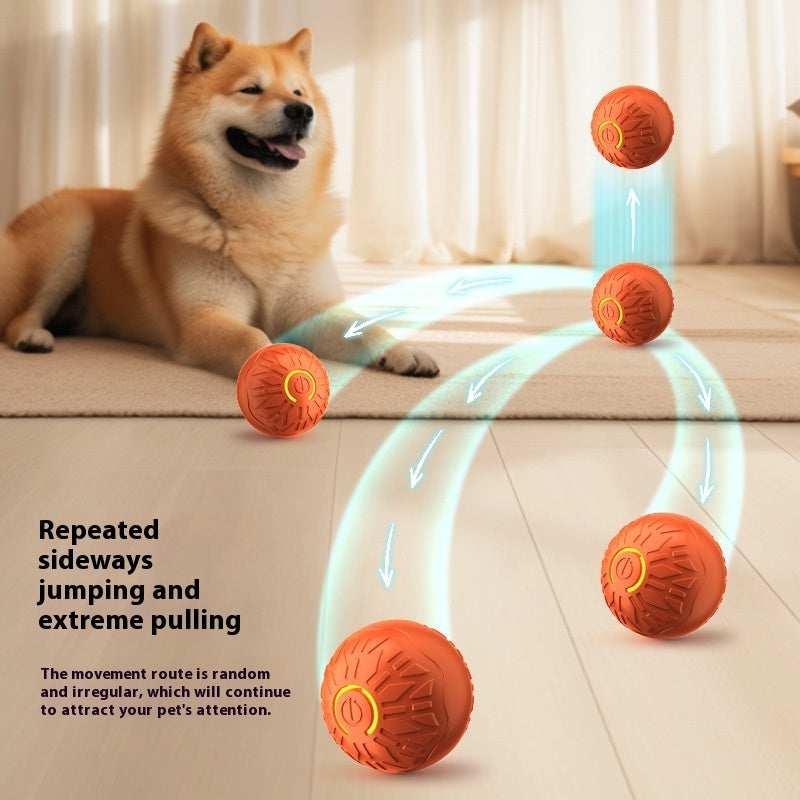 PlayPet™ Interactive Dog Ball